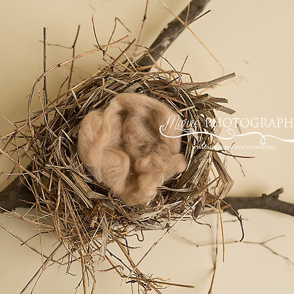 Instant download nest digital backdrop! perfect for owl newborn or baby bird newborn! wreath digital backdrop!