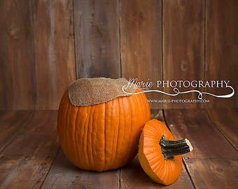 ¡Fondo digital de calabaza! descarga instantánea! calabaza recién nacido telón de fondo!