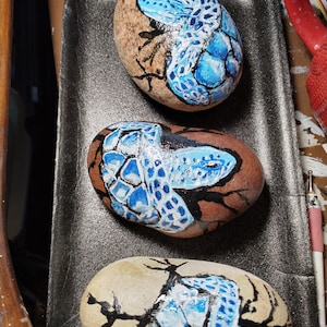 May include: Three painted rocks with a blue and white snake design. The rocks are on a black tray. The snake is painted in a realistic style with scales and a forked tongue.