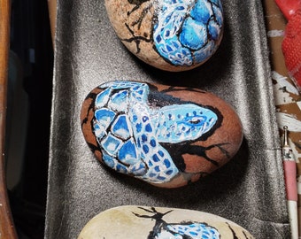 Turtle rocks