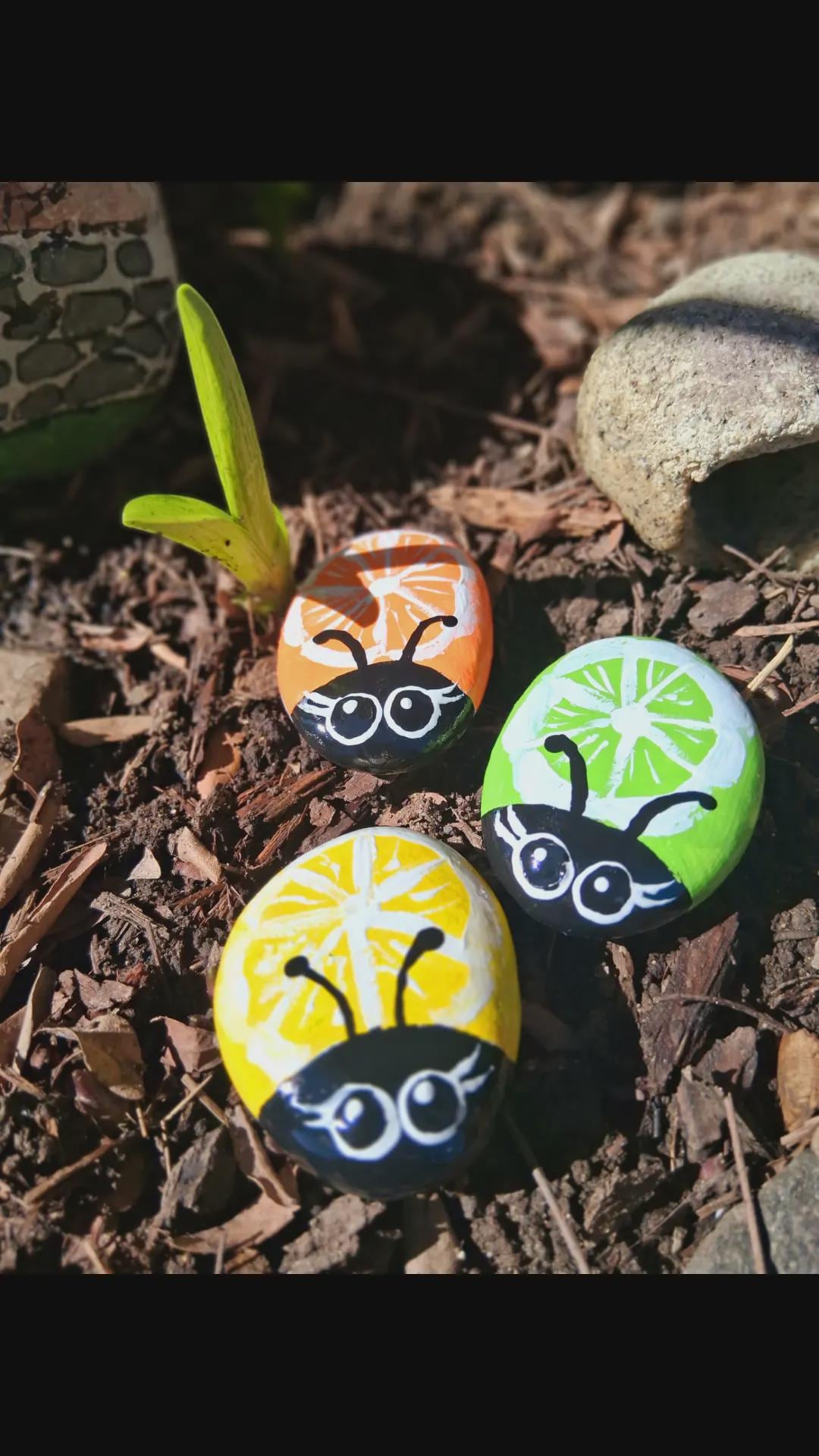 Bug Rocks - Etsy