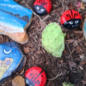 set of 6 ladybugs