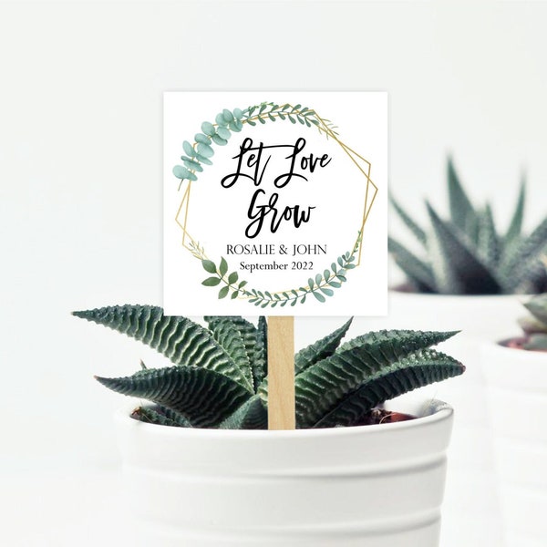 Etiquetas "Deja que el amor crezca", semillas, regalos de boda, etiquetas de regalo de suculentas, ideas imprimibles para regalos de despedida de soltera, etiquetas de regalo de plantas, pegatinas de semillas, bricolaje 323