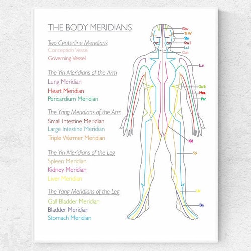 The Body Meridians Printable Poster Acupuncture Chart The 12 Etsy