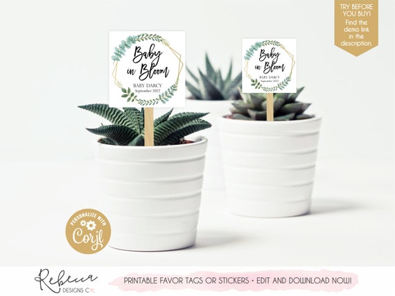 Baby in bloom favor tags watch me grow tags succulent favor tags plants  favor tags printable baby shower favor tags succulent favors 323 by Rebecca  Designs Co. | Catch My Party