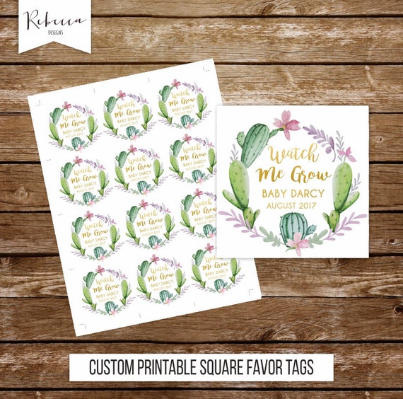baby shower succulent tags