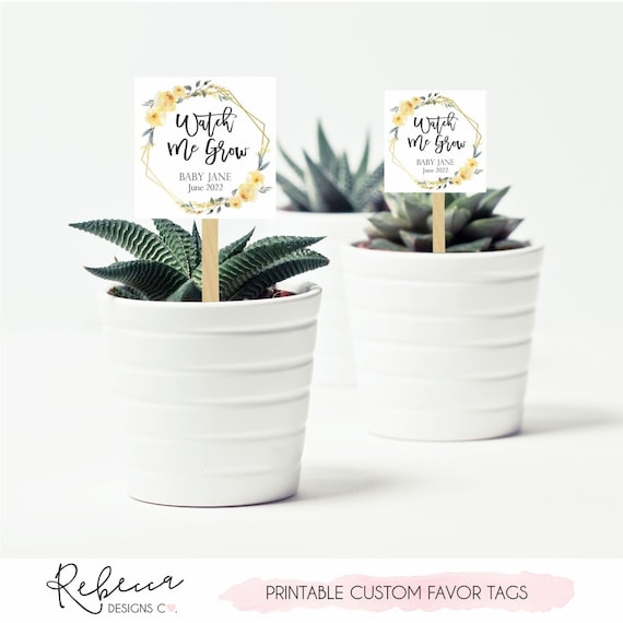 Watch me grow favor tags succulent favor tags plants favor tags printable seeds favor tags baby shower favor tags baby in bloom tags 346 Il_570xn