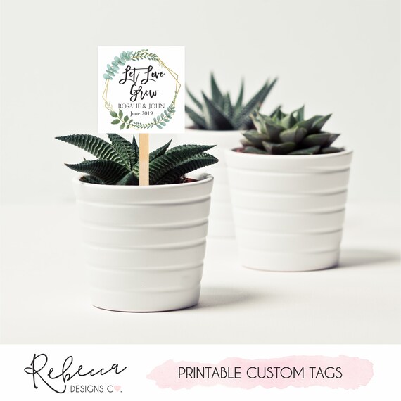 Succulent Small Plant Cactus Favor Tags Printable Love Makes Things Grow Baby Shower Thank You Favor Tags PDF
