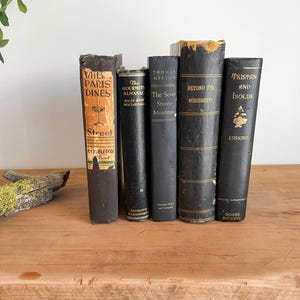 Vintage Black Books, Antique Book Set- Timeless Classics,  Rare & Collectible Editions, Elegant Old-World Book Set, Charming Retro Books