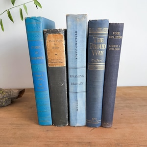 Vintage Blue Books, Antique Book Set- Timeless Classics,  Rare & Collectible Editions, Elegant Old-World Book Set, Charming Retro Books