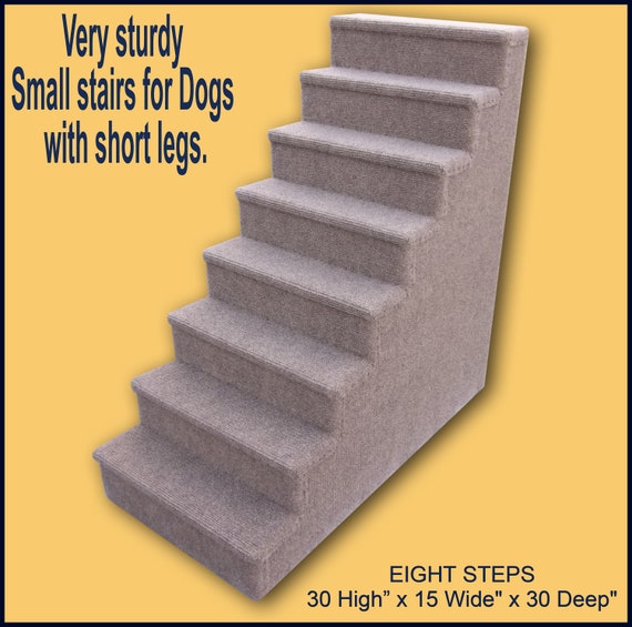 30 high dog steps