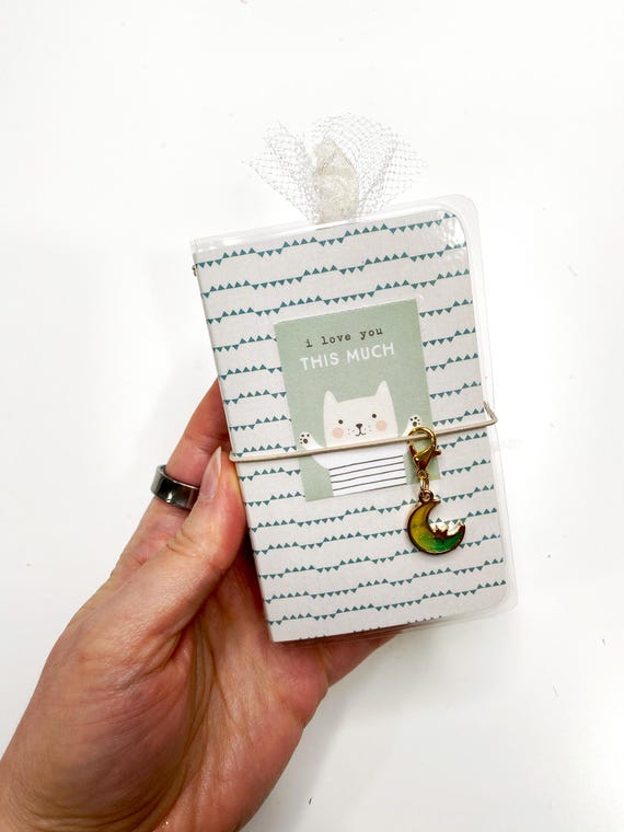 Baby Boy MINI Traveler's Notebook With 3 Inserts, Travel Journal