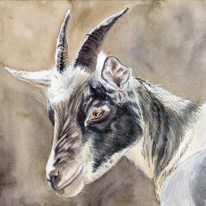Image Souriante De Chevre Chevres Droles Images Qui Vous Etsy