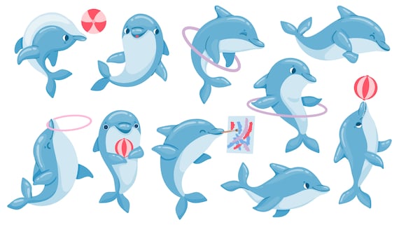 Dolphin Cartoon Character Vector Art Digital Clipart - Etsy Dolphin Cartoon Character Vector Art Digital Clipart - Etsy