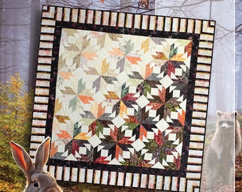 Indian Summer 2023 New Paper Piecing Quilting Pattern by Judy Niemeyer