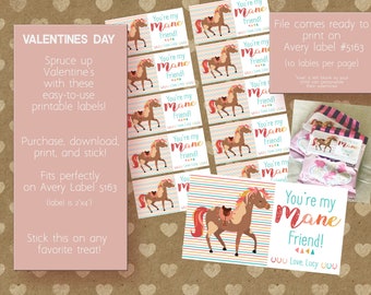 My Mane Valentine (Main Valentine, Horse Valentine)