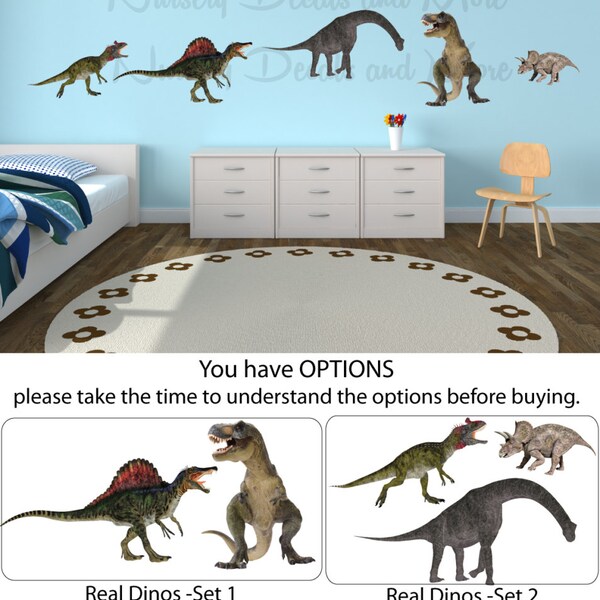 Dinosaur Wall Decals Kids Room Dinosaur Wall Stickers Dinosaur Wall Stickers Dinosaur Wall Art (Real Dinos Set 1 & 2 shown) RD1n2