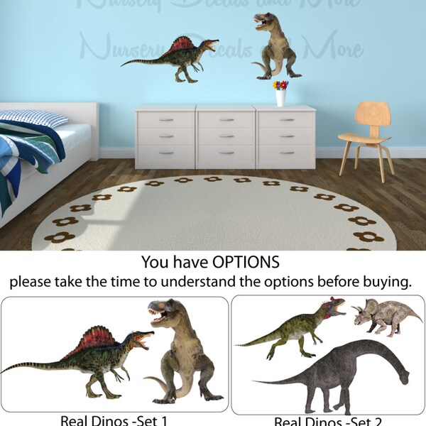 Dinosaur Wall Decals Dinosaur Sticker Wall Decal Boys Bedroom Decor Dinosaur Birthday Party Decorations (Mini Real Dinos Set 1 shown) MRD1
