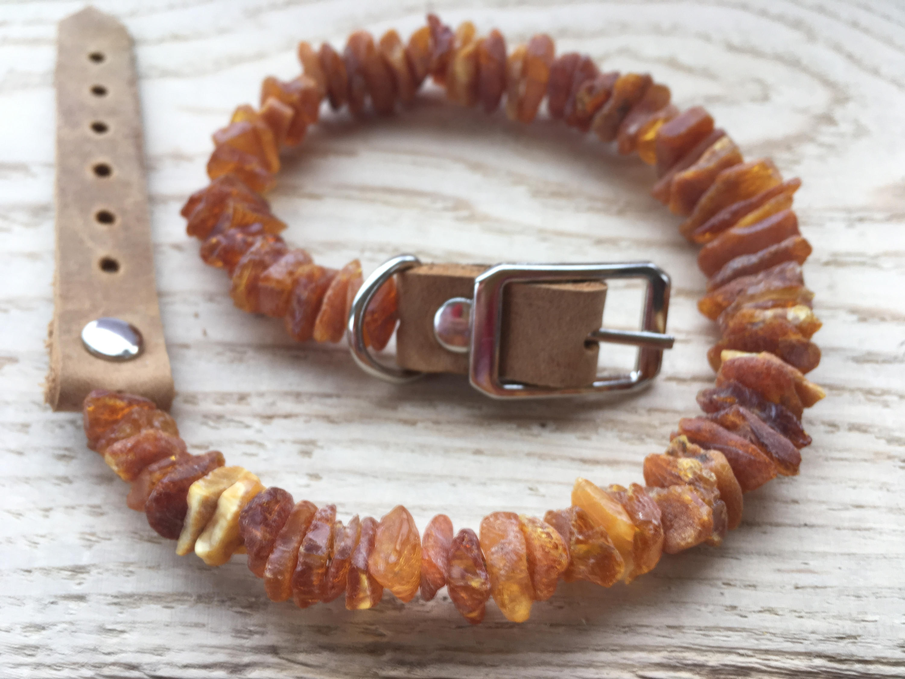 baltic amber flea collar