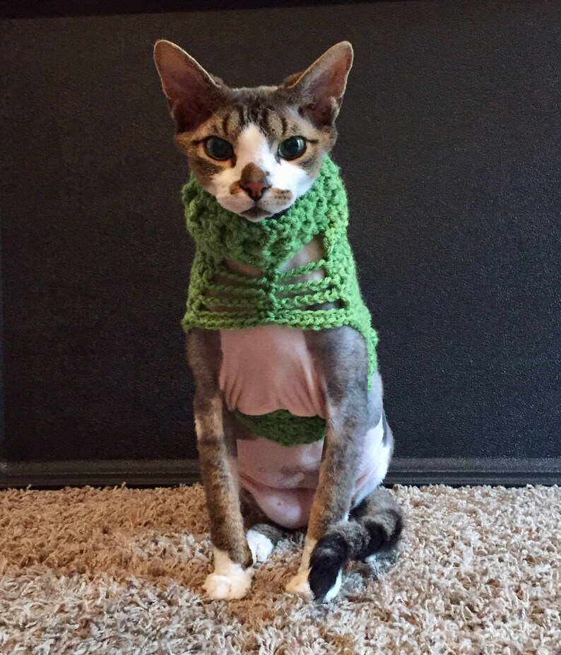 PATTERN Roxannes Foxy Feline Sweater