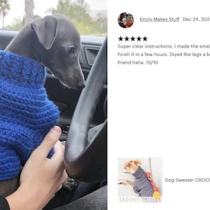 May include: A blue crocheted dog sweater featuring a high ribbed collar and a row of three bright orange, textured, triangular spikes running down the back. The garment is worn by a small, grey, short-haired dog sitting inside a vehicle.