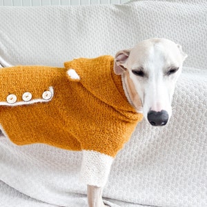 May include: A mustard yellow crocheted dog sweater featuring a white collar, white cuffs, and three light-colored wooden buttons along the side. The garment has a textured knit pattern and is worn by a light-colored dog with a slender build.