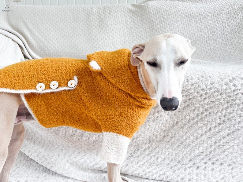 May include: A mustard yellow crocheted dog sweater featuring a white collar, white cuffs, and three light-colored wooden buttons along the side. The garment has a textured knit pattern and is worn by a light-colored dog with a slender build.