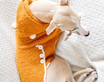 Patrón de ganchillo para suéter con capucha para perro con orejas, sudadera con capucha para perro DIY, ropa para mascotas pequeñas, medianas y grandes, 8 tallas, abrigo de ganchillo I Doggo No 19
