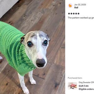 May include: A dog wearing a bright green crocheted sweater. The dog is a light grey and white color with dark eyes and a black nose. The dog is standing on a wooden floor. Text on the right says "The pattern worked up great!"