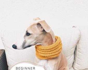 May include: A light brown and white dog wearing a mustard yellow, ribbed, circular knit cowl neck scarf. The image includes the text "BEGINNER KNITTING PATTERN" in black, sans-serif lettering positioned at the bottom of the frame.