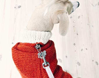 May include: A dog wearing a red knitted sweater with a white collar and a leash. The sweater has a silver zipper and a white leash attached. The text "KNITTING PATTERN" is at the bottom of the image.