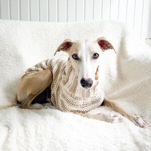 May include: A light-colored dog wearing a beige cable-knit sweater, resting on a fluffy white blanket. The dog has a long snout and floppy ears. The background is a white wall and a white fluffy blanket.