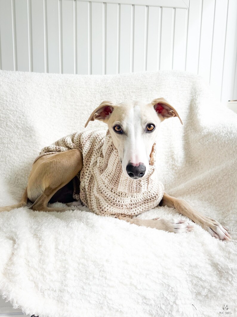 May include: A light-colored dog wearing a beige cable-knit sweater, resting on a fluffy white blanket. The dog has a long snout and floppy ears. The background is a white wall and a white fluffy blanket.