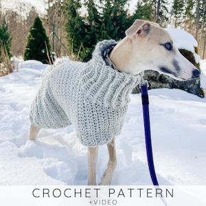 Grote hondentrui GEHAAKT PATROON met video-instructies, dikke hondenjas met kraag voor beginners I Doggo No 12-sweater