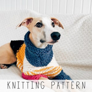 Collared Dog Sweater KNITTING PATTERN Dog Jumper Knit Pattern Medium Dog Sweater Knitted Dog Sweater Pattern Beginner Dog Pattern Doggo No 5