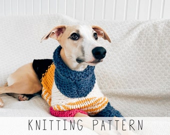 Collared Dog Sweater KNITTING PATTERN Dog Jumper Knit Pattern Medium Dog Sweater Knitted Dog Sweater Pattern Beginner Dog Pattern Doggo No 5