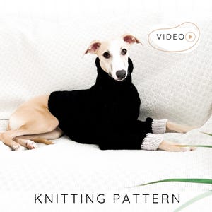 May include: A dog wearing a black turtleneck sweater with light-coloured cuffs, lying on a white textured surface. The dog is tan and white. The words "KNITTING PATTERN" are at the bottom of the image, with a video icon in the upper right.