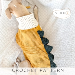 Dragon Dog Sweater CROCHET PATTERN, Easy Pet Costume with Spikes PDF, Small to Large Dog Jacket with Video Tutorial I Doggo No 6
