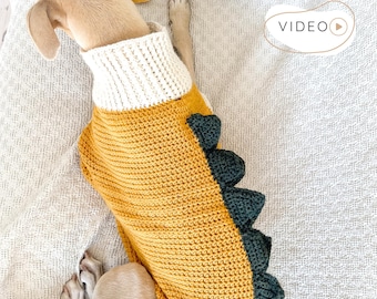 Dragon Dog Sweater CROCHET PATTERN, Easy Pet Costume with Spikes PDF, Small to Large Dog Jacket with Video Tutorial I Doggo No 6