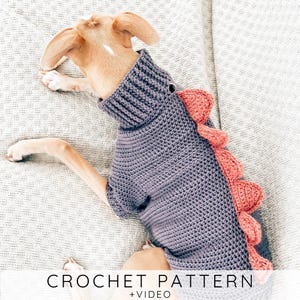Dragon Dog Sweater Crochet Pattern, Cozy Pet Jumper with Spikes, DIY Dog Clothes, 7 Sizes I Doggo No 6