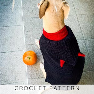 Hunde Kapuzen Cape HÄKELANLEITUNG, Pullover-Set mit Kapuze und Teufel Hörner (kleiner, mittlerer, großer Hund), Hundejacke mit Kapuze I Doggo No 20