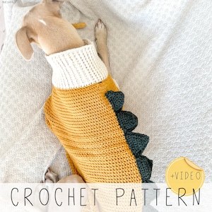 Dragon Dog Sweater CROCHET PATTERN Dog Jacket Pattern Crochet Dog Sweater Video Pattern Big Dog Sweater Medium Dog Sweater I Doggo No 6