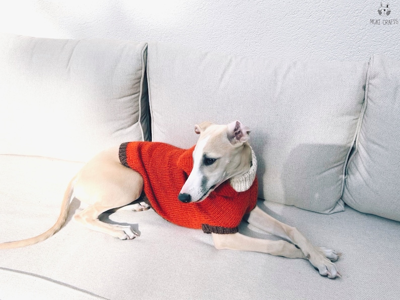 Hooded Dog Sweater KNITTING PATTERN Dog Jumper Knit Pattern Etsy