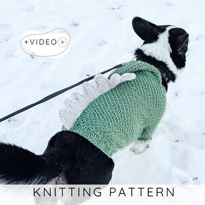 May include: A dog wearing a green knitted dinosaur sweater with a light gray spine detail. The dog is black and white and is standing in the snow. The text "KNITTING PATTERN" is at the bottom of the image.