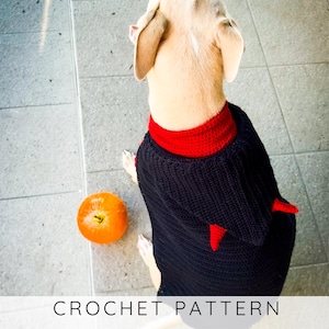 May include: A dog wearing a black and red crochet sweater with a hood and small horns. An orange fruit sits on the ground next to the dog. The text "CROCHET PATTERN" is at the bottom of the image.