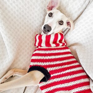 May include: A white dog wearing a red and white striped crochet sweater with a navy blue trim. The dog is lying down on a textured, off-white surface, looking directly at the camera. The sweater has a turtleneck design.