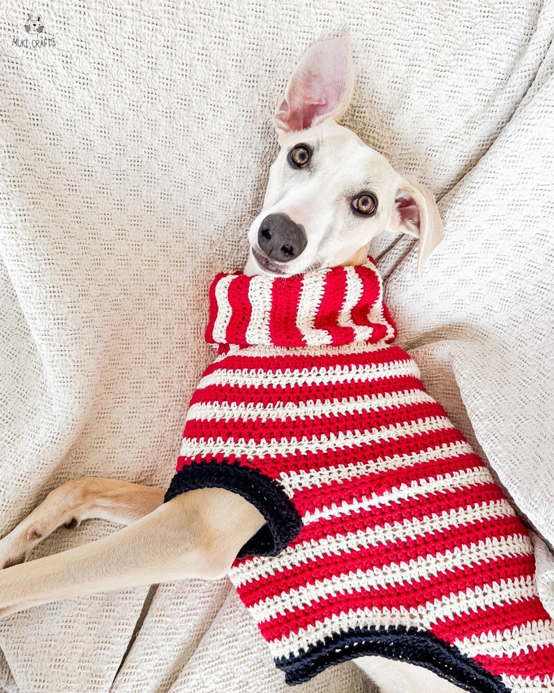 May include: A white dog wearing a red and white striped crochet sweater with a navy blue trim. The dog is lying down on a textured, off-white surface, looking directly at the camera. The sweater has a turtleneck design.