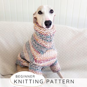 Può includere: Un cane indossa un maglione lavorato a maglia con collo alto e multicolore. Il maglione presenta strisce blu, rosa e gialle. Il testo "BEGINNER KNITTING PATTERN" è visualizzato in un ovale bianco nella parte inferiore dell'immagine.