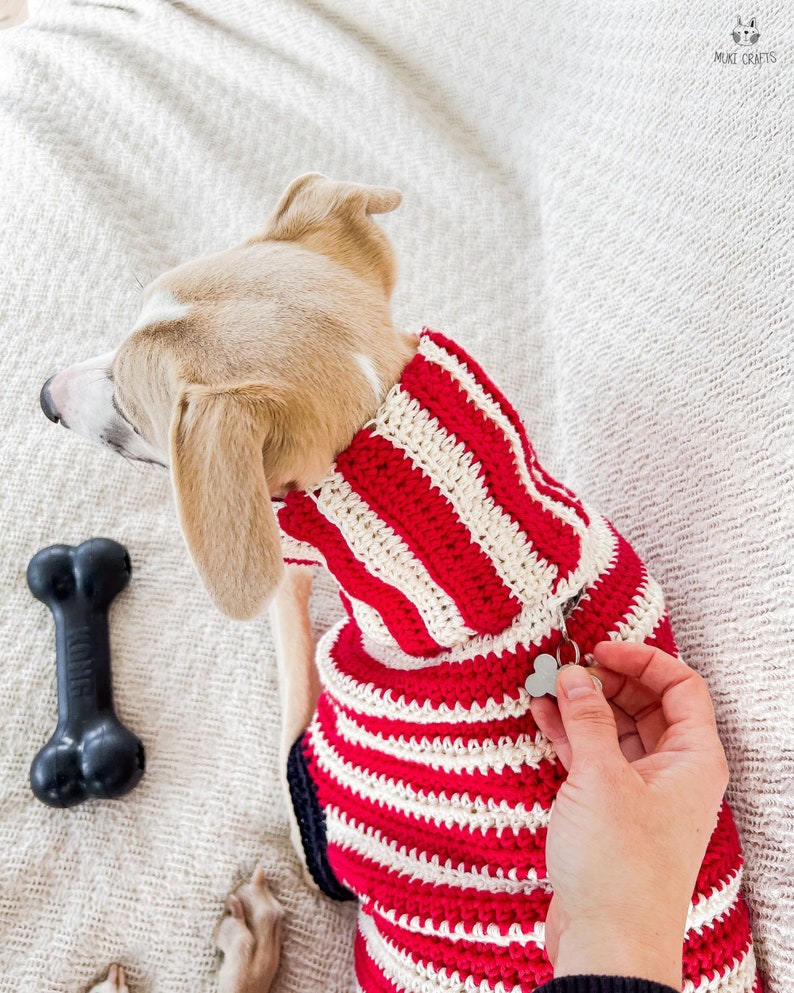 May include: A small dog wearing a red and white striped crochet sweater. A black bone-shaped dog toy is next to the dog. The dog is wearing a small tag. The sweater has a zipper.