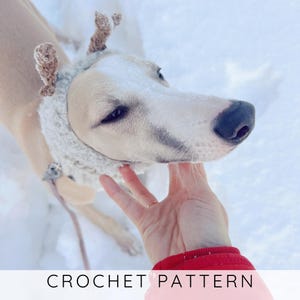 Reindeer Dog Snood CROCHET PATTERN, Easy Christmas Dog Cowl Crochet Pattern, Winter Pet Neck Warmer with Antlers I DOGGO 8 Snood